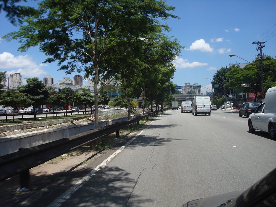 Av. Ricardo Jafet by flavio1bc