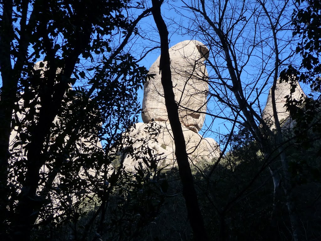 El Lloro treu el nas,...(Montserrat) by Albert Ortega i Margarit