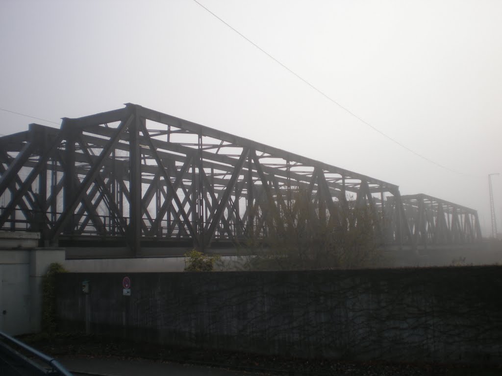 Railway bridges over the Danubio by chanchoalvuelo