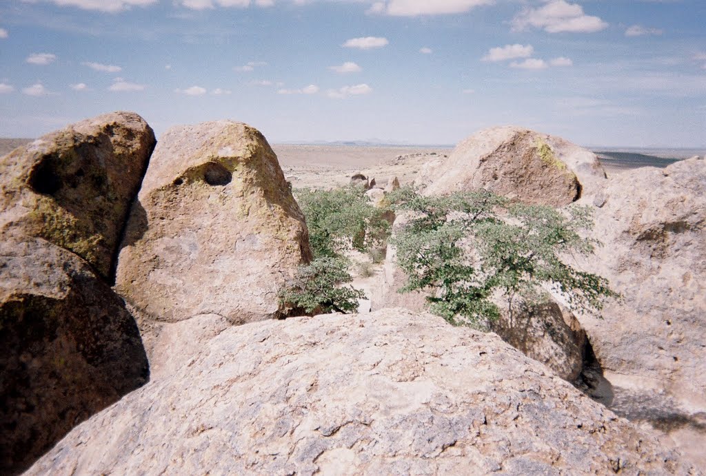 City of Rocks State Park, New Mexico. by slakingfool