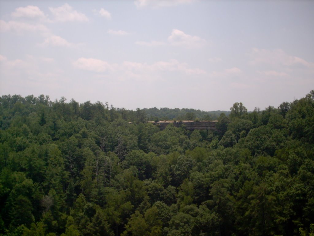 Natural Bridge viewed from overlook about 1/8 mile away Natural Bridge State Park Slade, Kentucky by vnvetlester