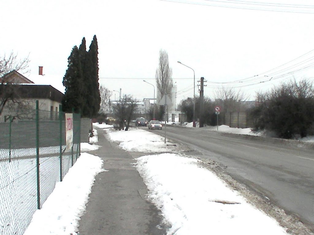 Slovakia, Nitra, Štúrova ulica, 2010 by cityphotographs