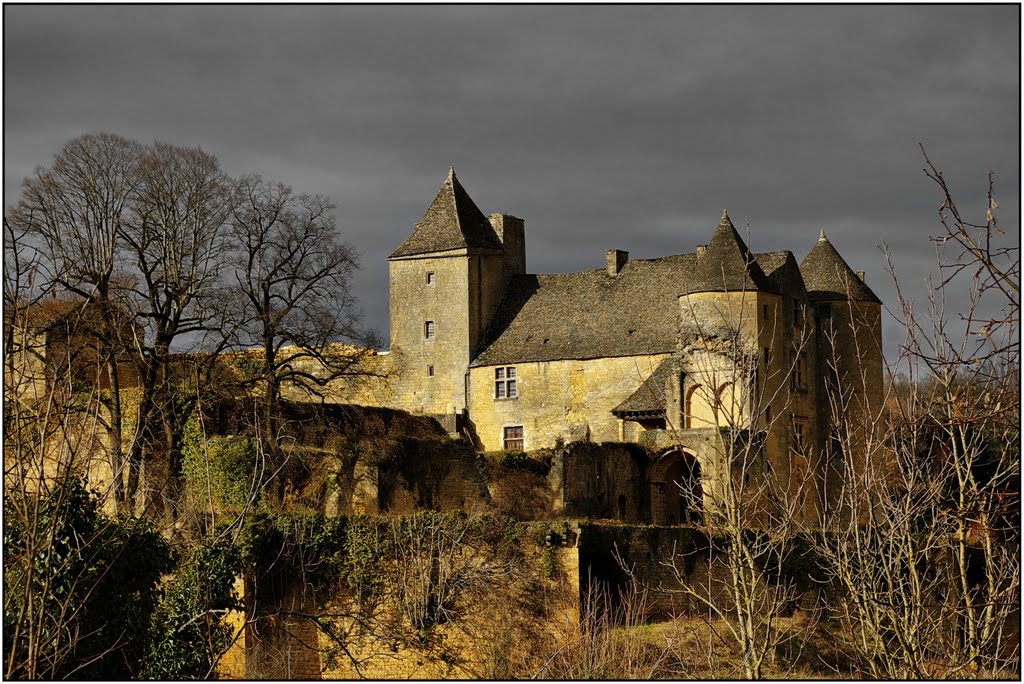 SALIGNAC-EYVIGUES [24] - Château de Salignac. (février 2010) by Michel Chanaud (Sarlat)