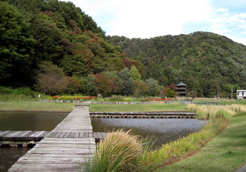 歴史公園池より安久津八幡宮を望む by ♞