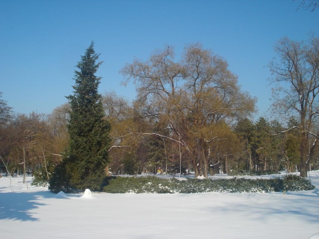 Морската градина през зимата,Sea Garden in Winter by Ivcho