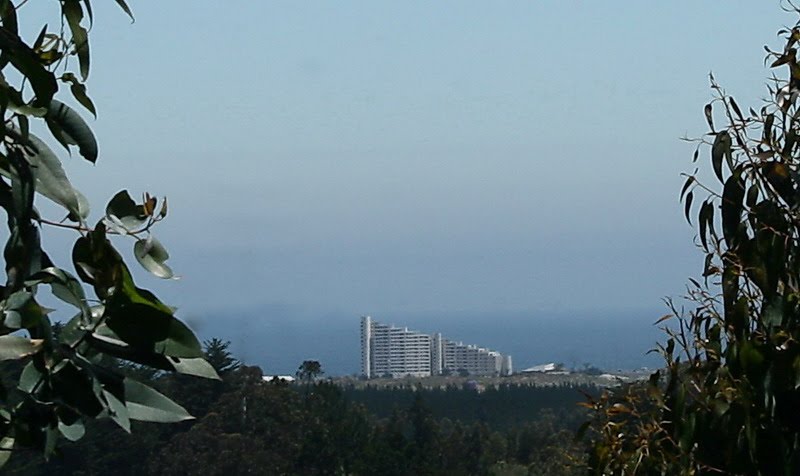 Edificio OLAS camino Coronel, desde San Pedro. by Luis Enrique Fritz