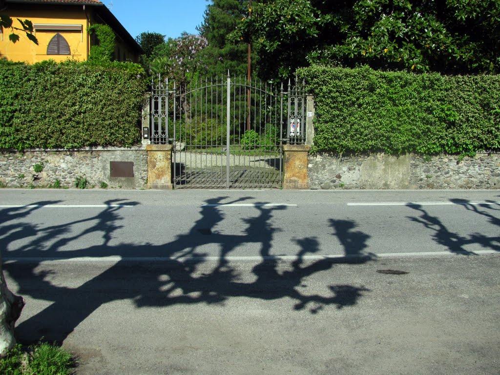 Shades for a Gate i Suna (VB) (4 maggio 2009) by Marco Carnelli