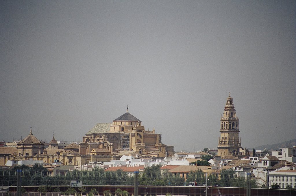 Córdoba catedral-mezquita by Braulio Tobes