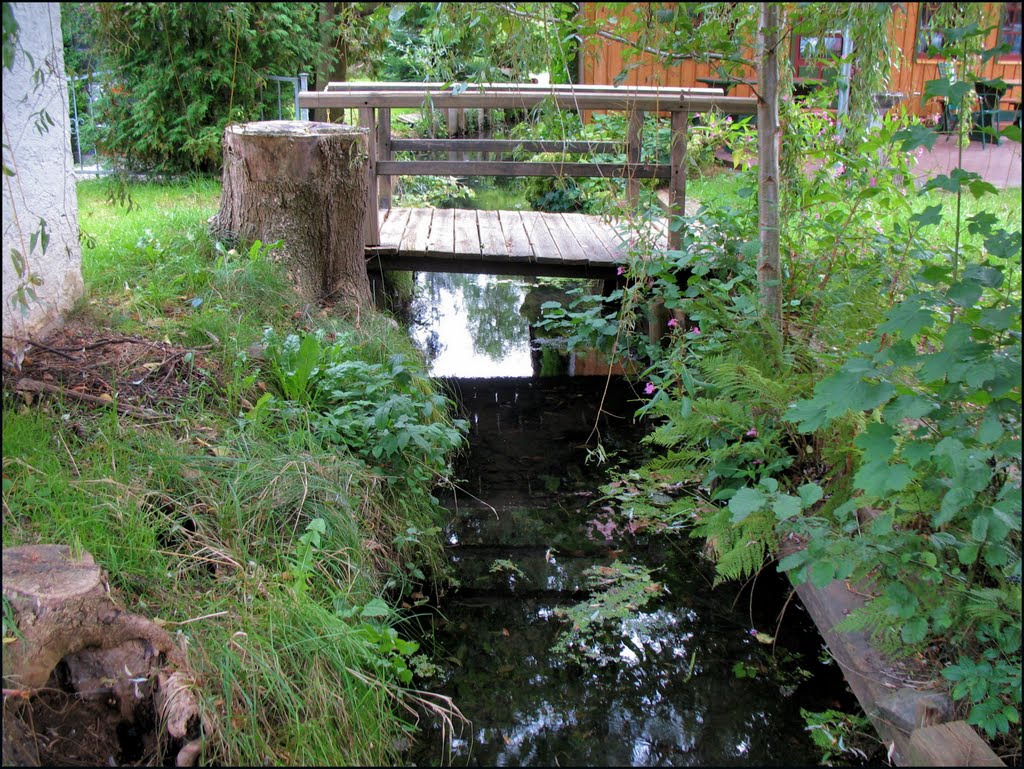 Der Spreewald in Lehde ist eine historische Kulturlandschaft. Die natürliche Flusslaufverzweigung der Spree bei Lübbenau im Landkreis Oberspreewald-Lausitz. 1991 erhielt der Spreewald die Anerkennung der UNESCO als Biosphärenreservat. by Ralf Pätzold, Berlin