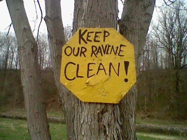 Keep our ravine clean by Colaroga