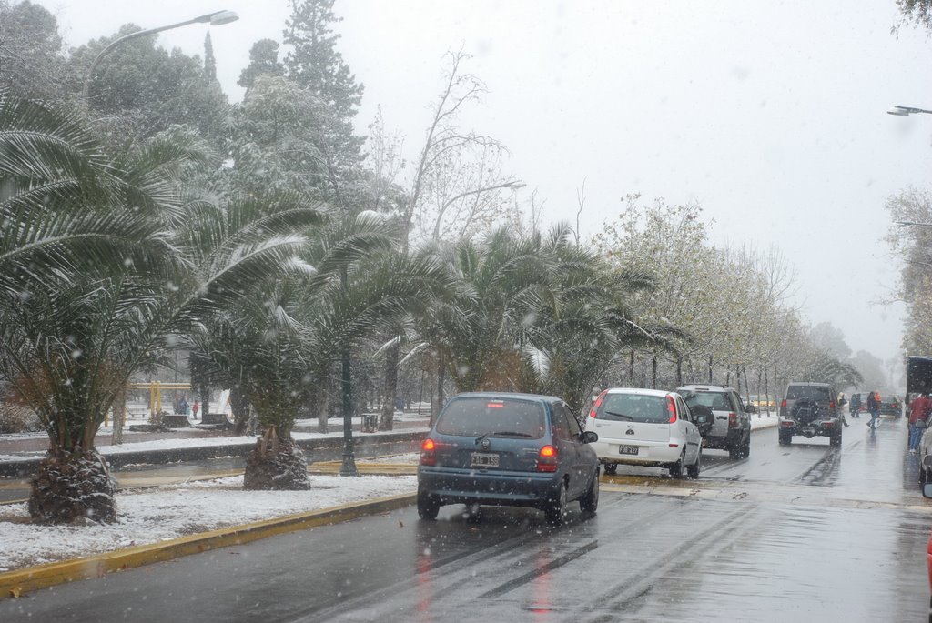 Parque Sarmiento - nevando 09/07/07 by Emiliano Schreiner