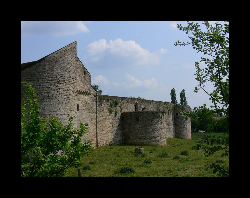 Château de cusey by Fabrice Aubriet