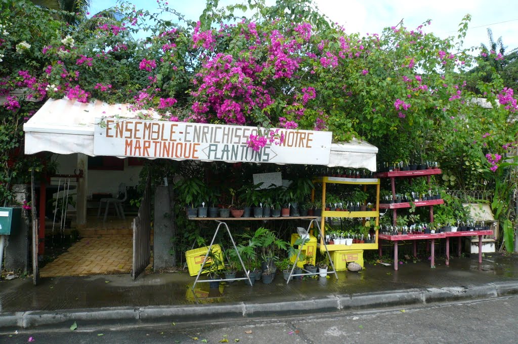 MARTINIQUE - LES TROIS ILETS 01 2010 by ¤¤¤ DanyFischer ¤¤¤