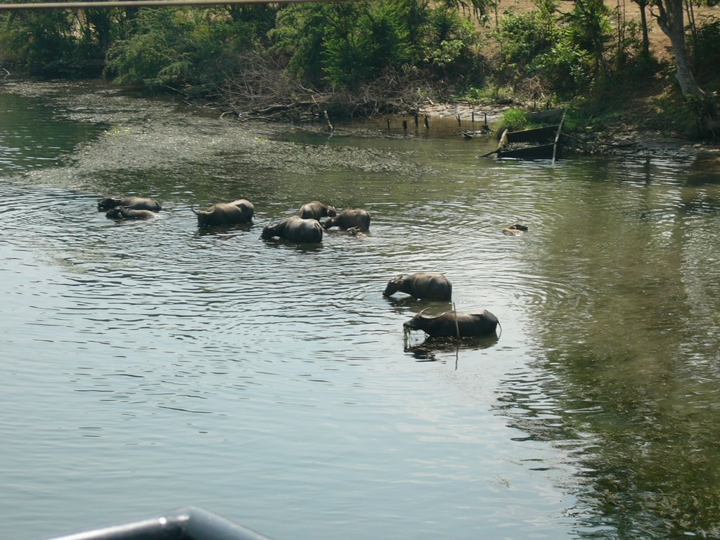 Tha Ma Kham, Mueang Kanchanaburi District, Kanchanaburi 71000, Thailand by Zdeněk Š.