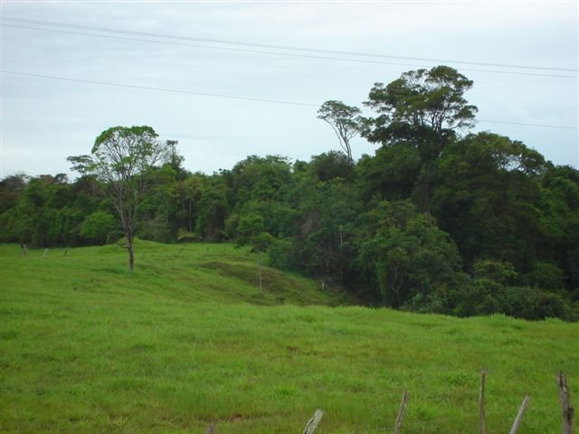 MATA VISTA DO SÍTIO JEOVÁ JIRÉ by Edson P. Lopes