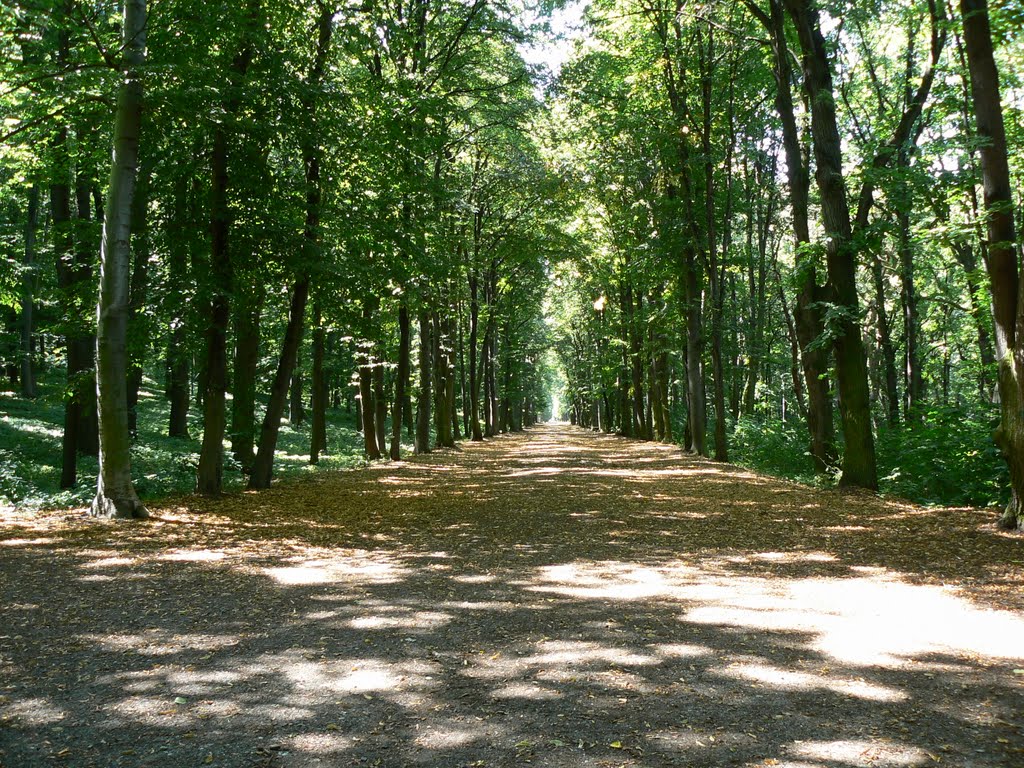 Krásný Dvůr zámecký park by Jaroslav Svatoň