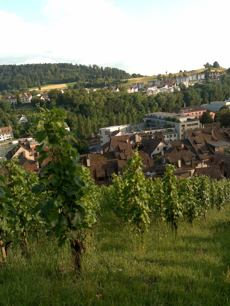 Over shafhausen stadt by » Shkelzen Baftijari «