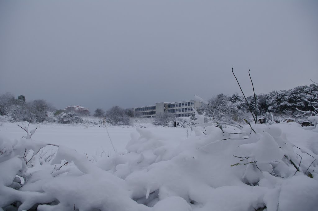 Oš vidikovac - snow 2009 by nikola_pu