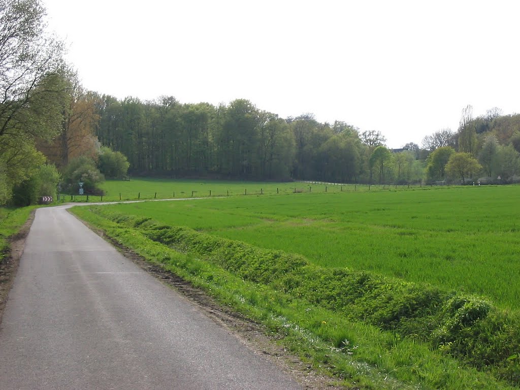 Frühling am Donnerbusch by André de Saint-Paul