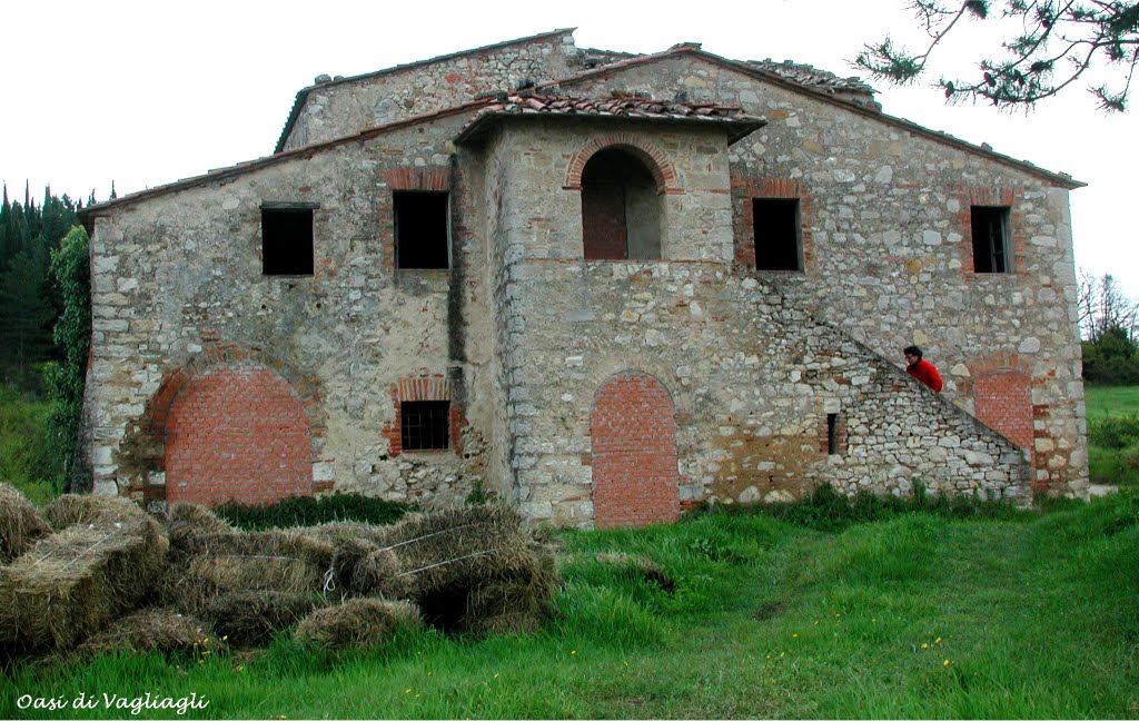 2001, Toscana, Vagliagli by Giovanni Mirgovi