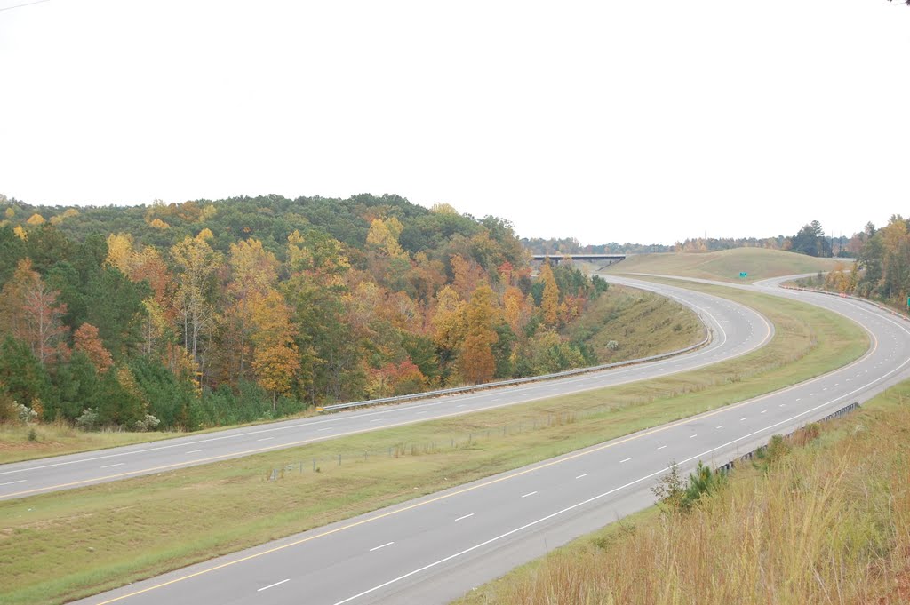 Highway 421 Bypass East of Sanford by Donald Pardue