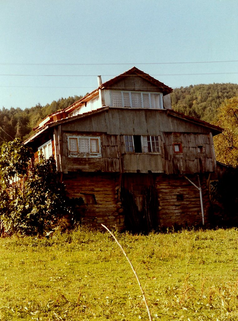 Old House in Omerli by Esref UCAR