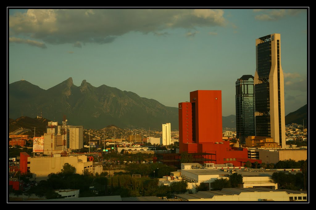 Monterrey by Rock Forest