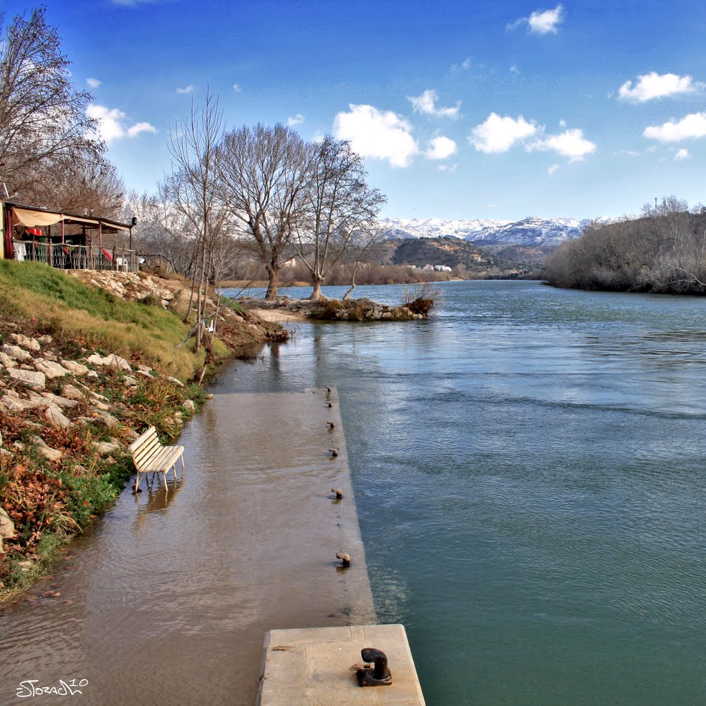 Majestuós Ebre by Xavier Estorach Toset