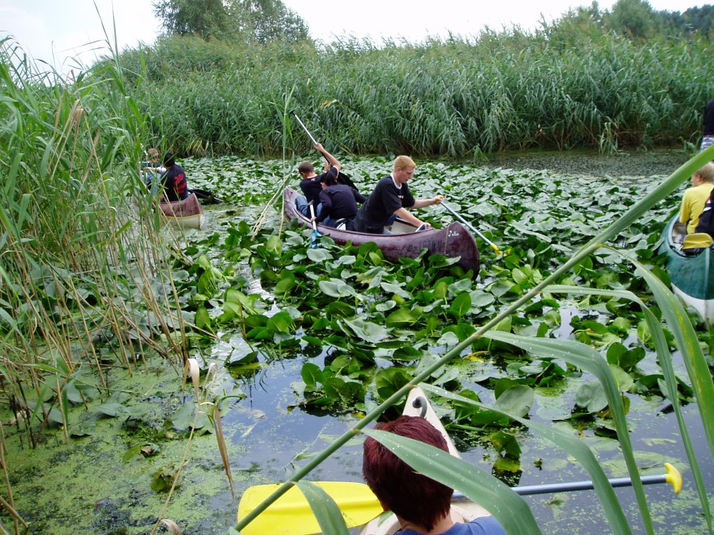 Nebenarm der Spree bei Neubrück/Kanutour 2006 by Matze FF