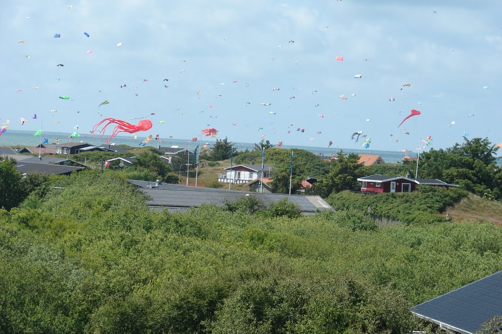 25. int. kite fliers meeting 2009 Rindby by rockinhellcat