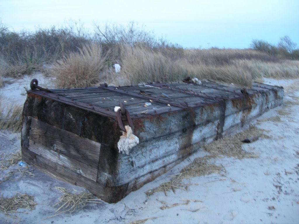 Barren Island Flotsam by Adam Schwartz