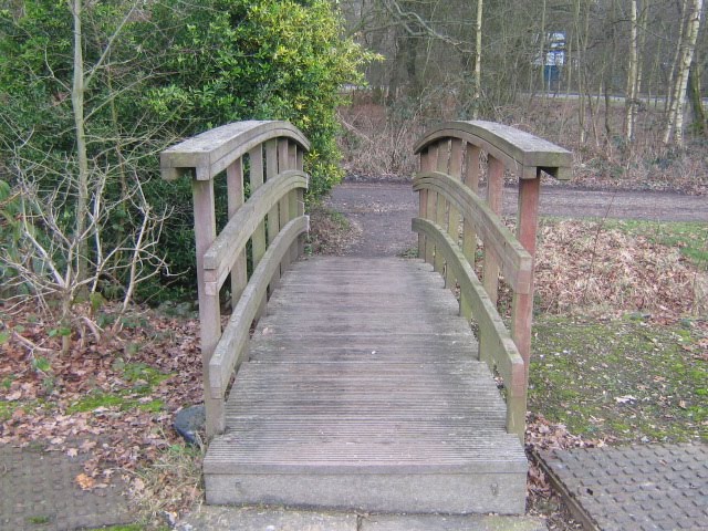 The Basingstoke Country Hotel wooden bridge by Robert'sGoogleEarthPictures