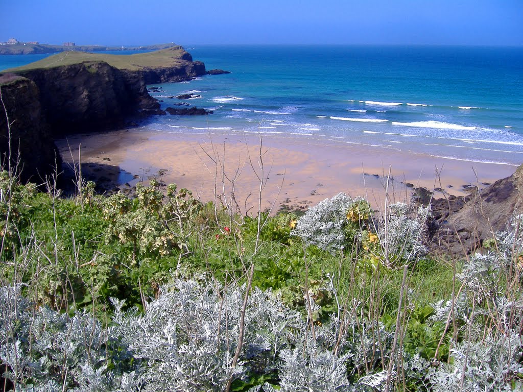 Fern Cavern, Whipsiderry Beach, Cornwall by Clark Priestley