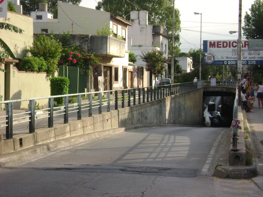 Entrada al viaducto Intendente Casares by Payun Matru