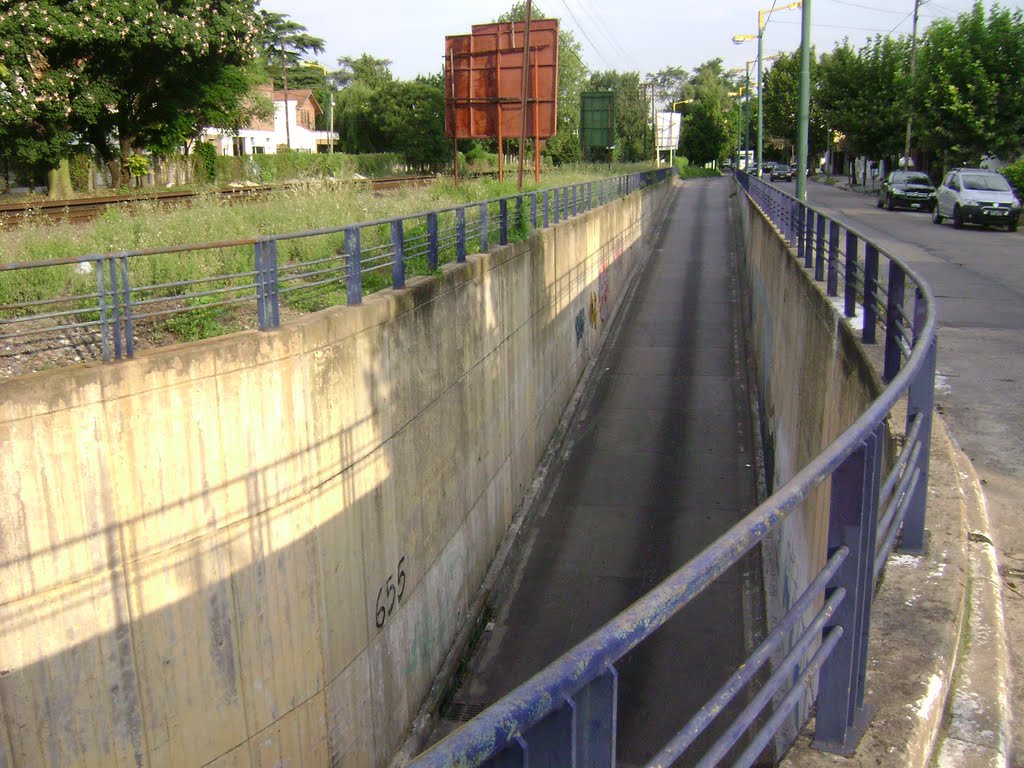 Entrada al viaducto Intendente Alvear (túnel curvo) by Payun Matru