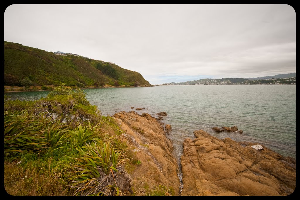 Shelly Bay by mikeangelo