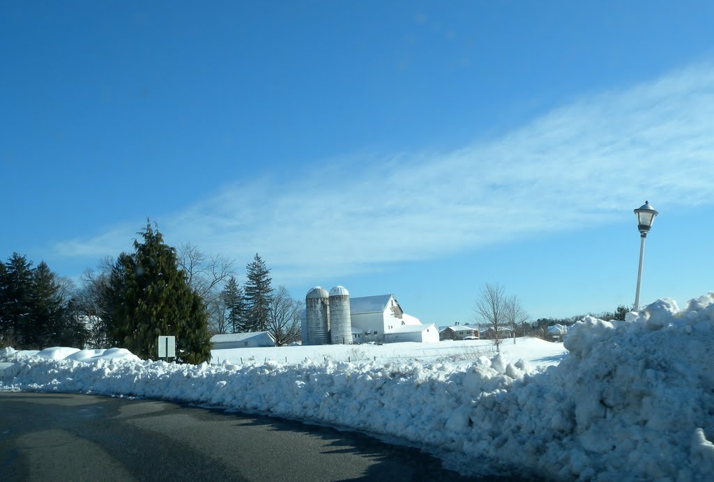 Colts Neck Farm by Adam Elmquist