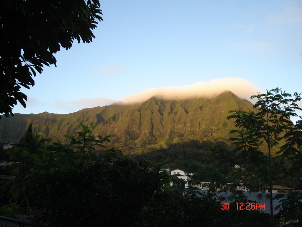 Maunawili backporch by paulccc