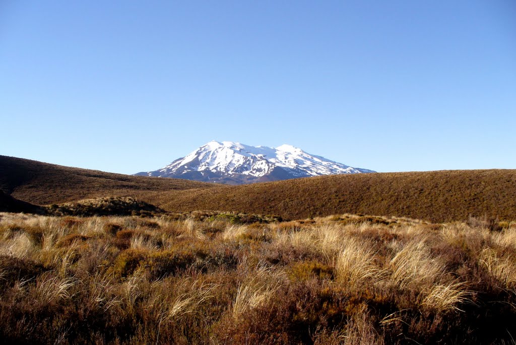 Mt. Ruapehu by Aleš Srogončík