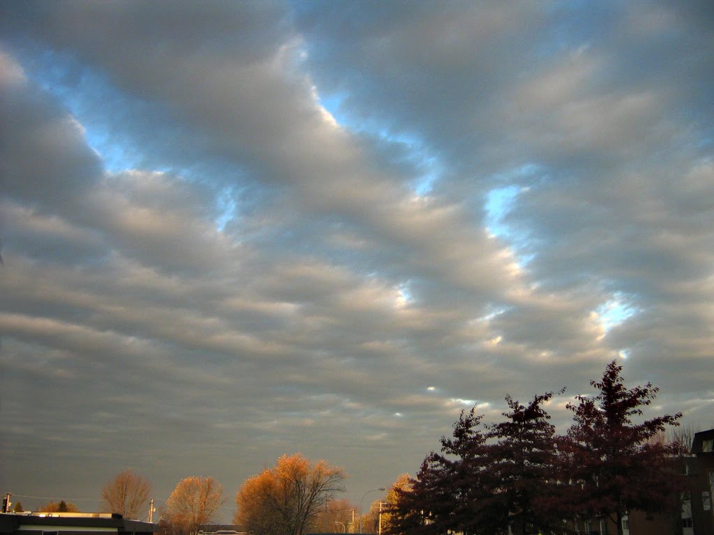 Altocumulus by Mario Hains