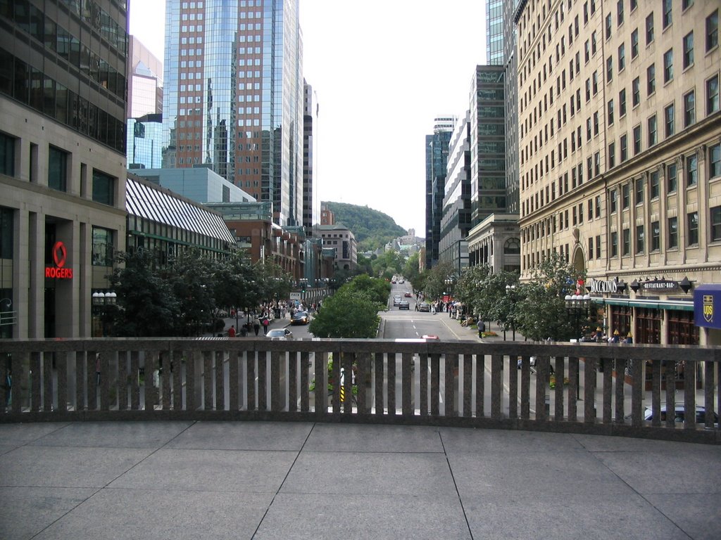 Avenue McGill, Montréal by Michael Humann