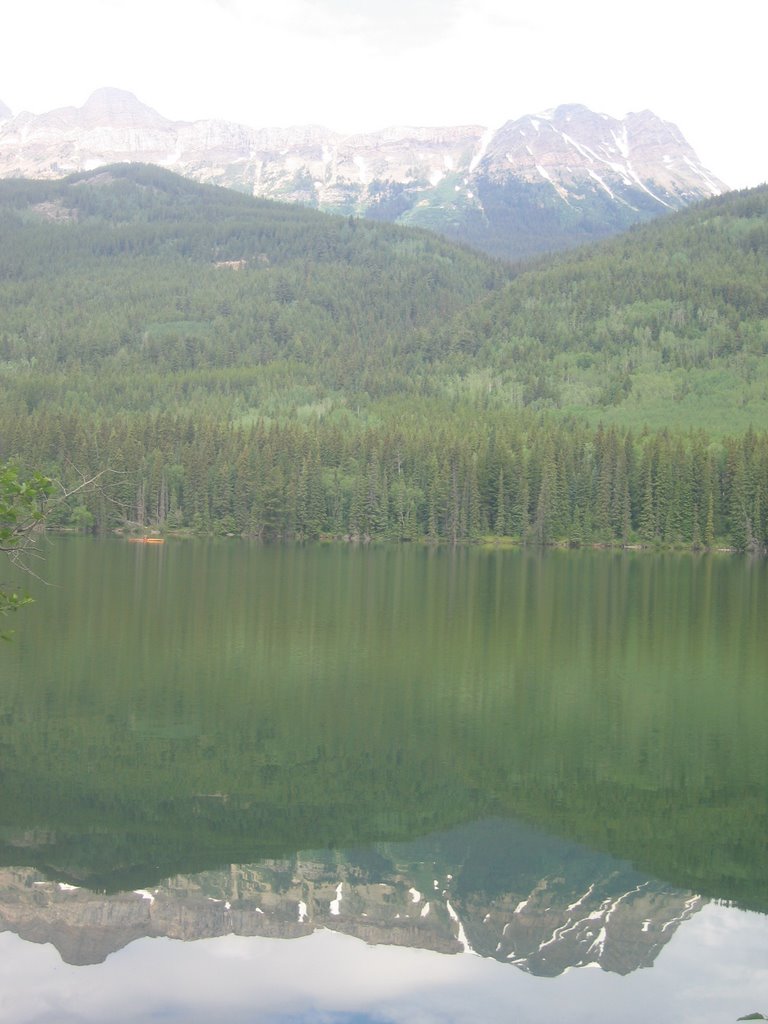 Mountains and Peaceful Waters at Yellowhead Lake Mount Robson BC by David Cure-Hryciuk