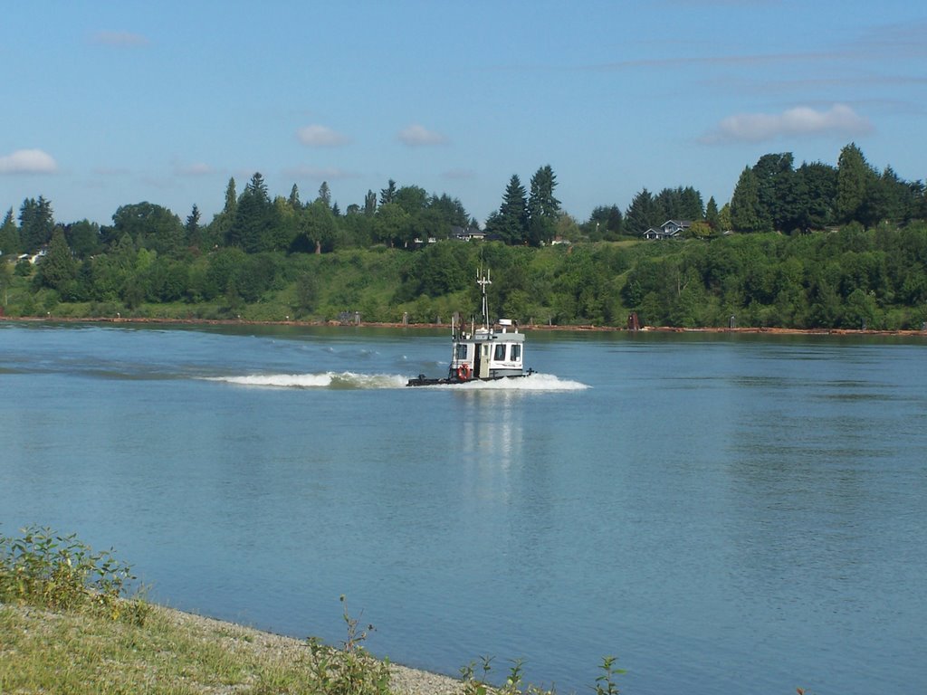 Steaming up the Fraser River by Nemlander