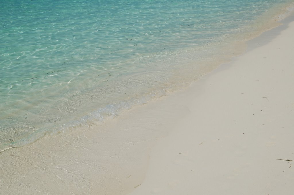 Beach and Sea by Eric Marshall