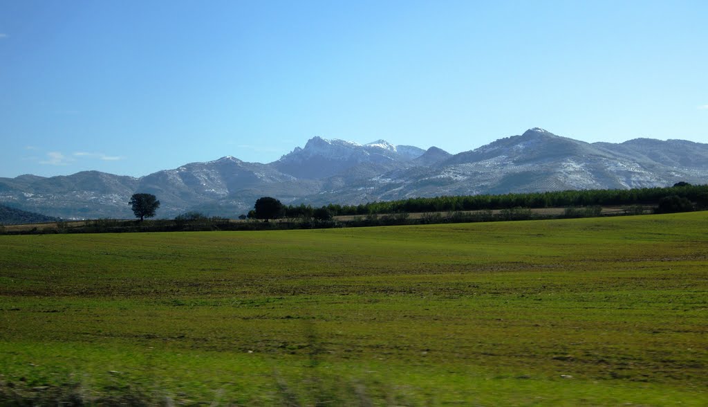 Campos entre Jaén y Albacete by A Lozano