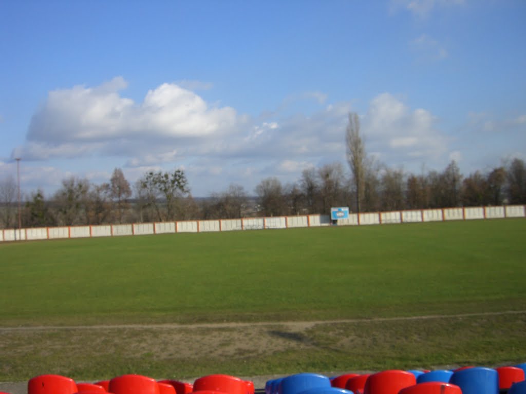 A stadium is in Ladyzhin. by Natasha M.