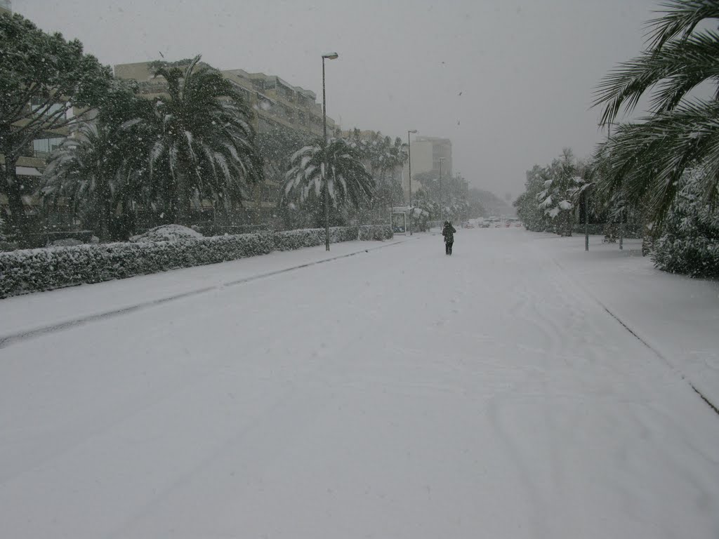 Bord de mer sous la neige by Dominique Perrin