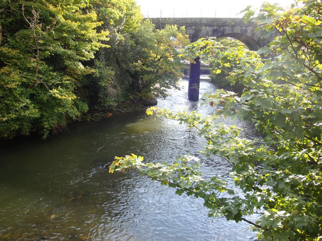 River Taff, Pontiprydd, Wales by tjmcgrathau