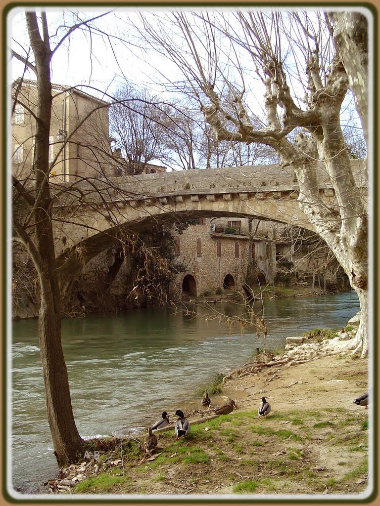 Correns " Pont d'une seule Arche au dessus de l'Argens " http://bouchaudandre.unblog.fr/ by bouchaud andré