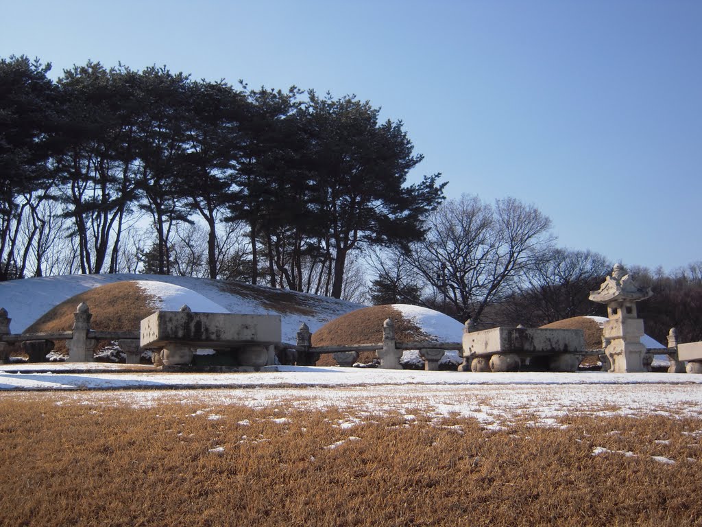 Royal Tomb (景陵) of King Hun-Jong, Donggu-Reung(東九陵), Guri-Si, Kyonggi-do (京畿道九里市), Korea by MC Han